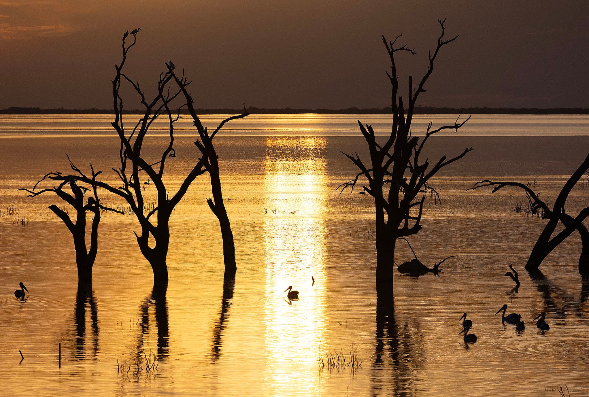 Sunset over Lake Menindee, New South Wales.
