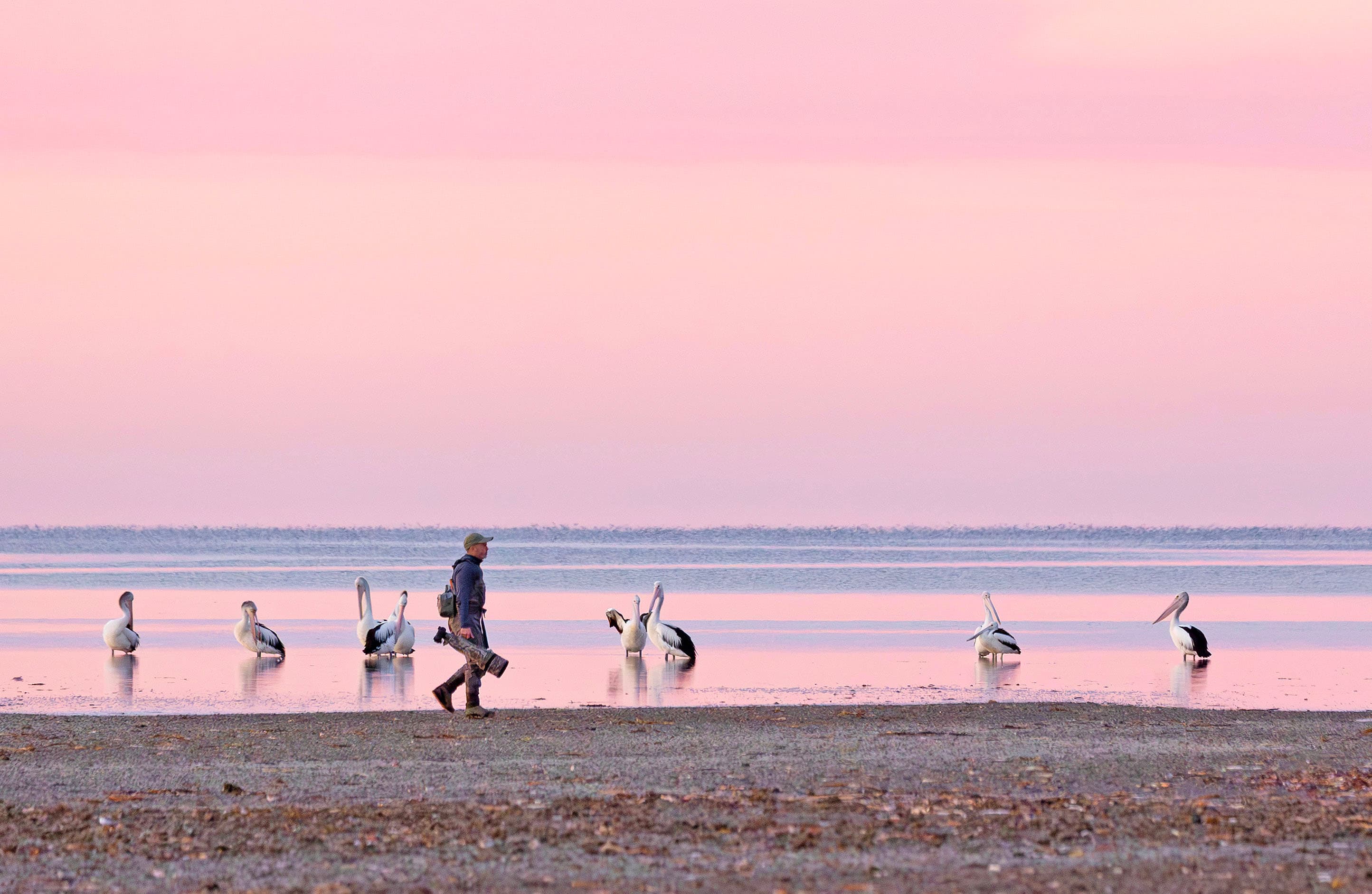 Simon in the pre-dawn light at Bald Hill Beach, South Australia.
