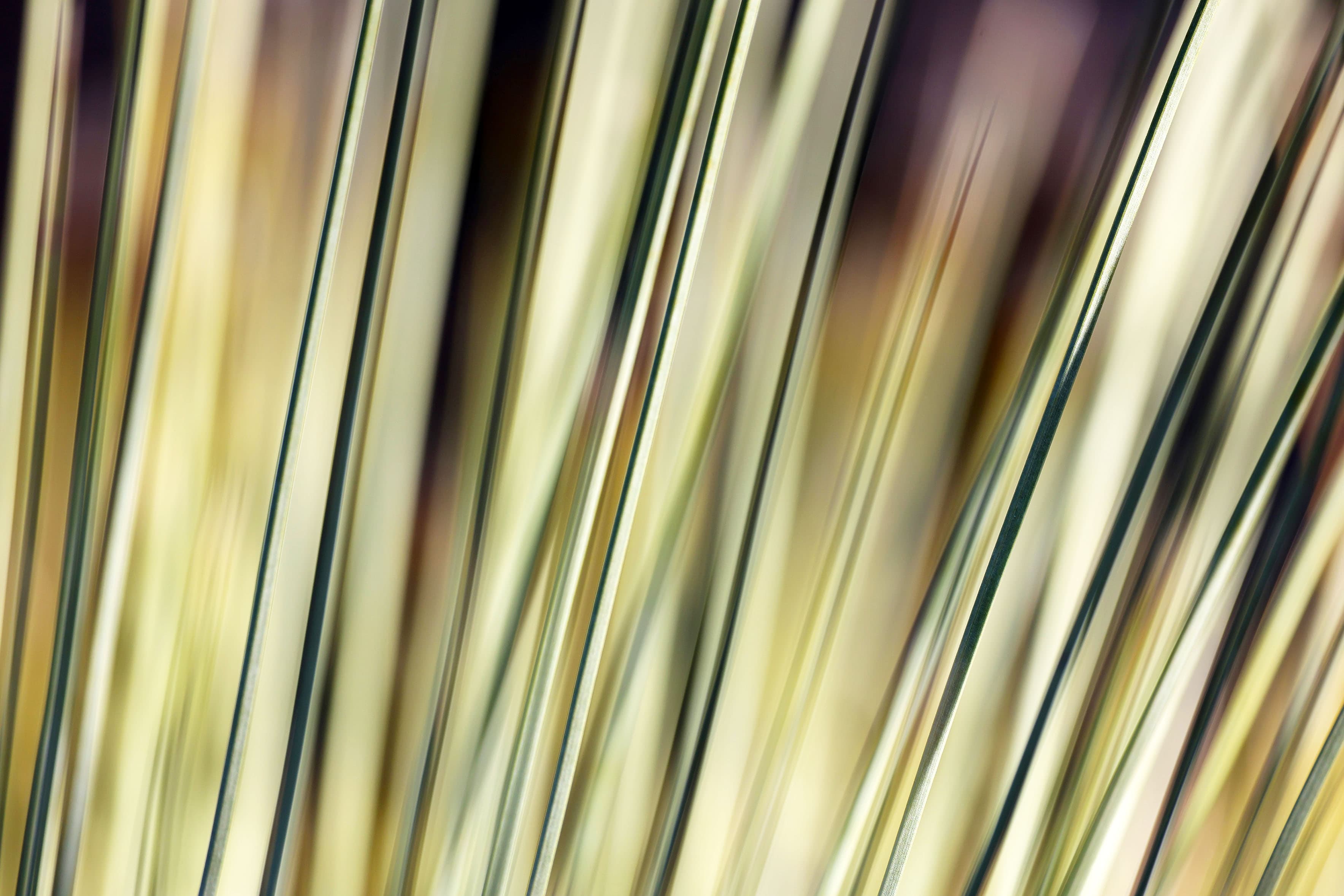 Australian nature photography by Sandy Horne