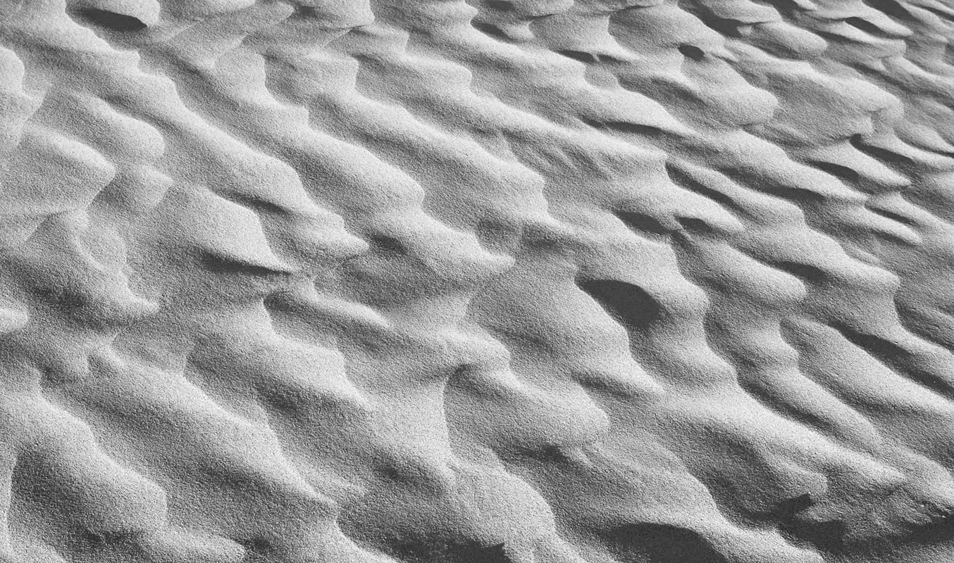 Australian nature photography by Sandy Horne
