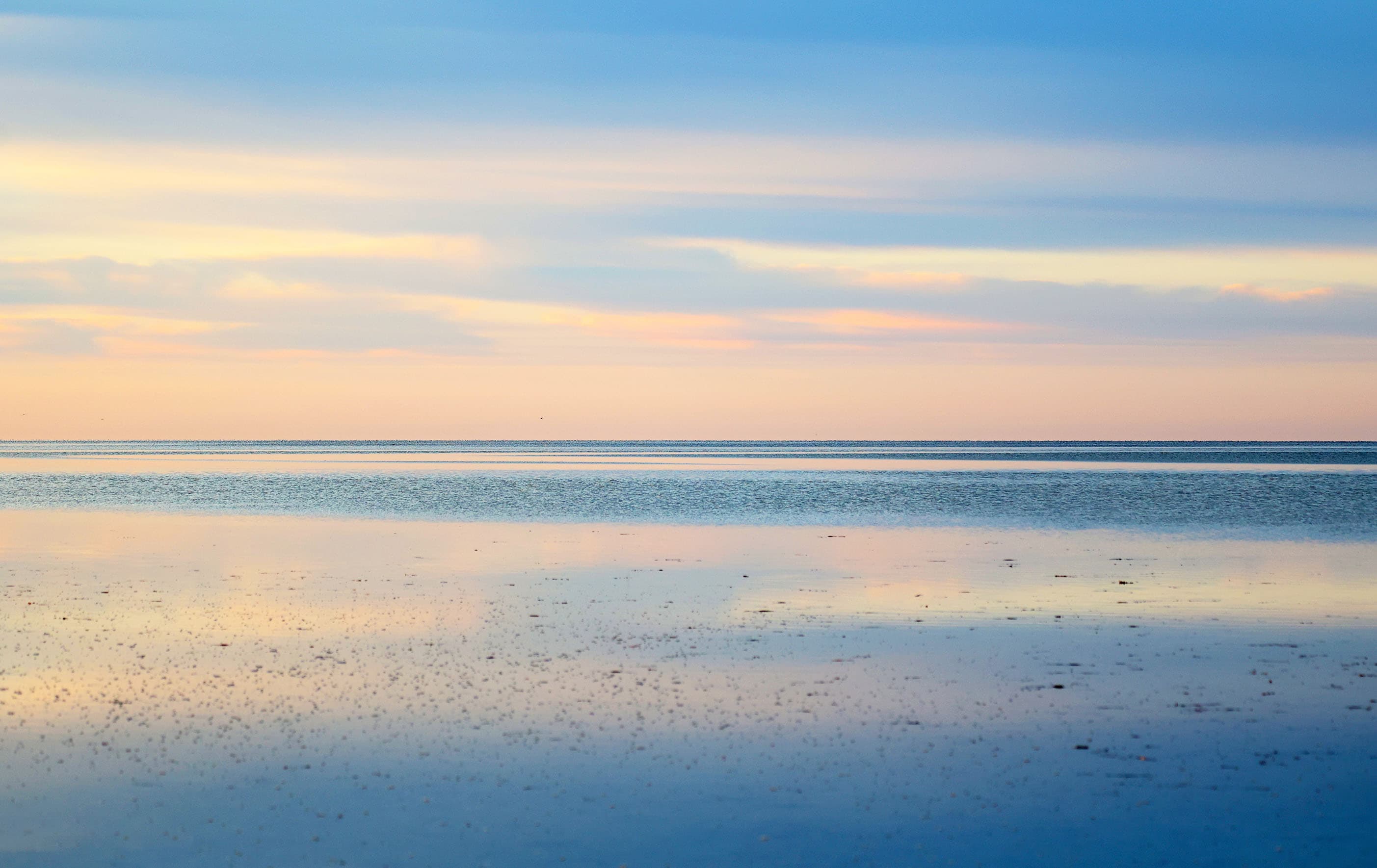 Australian nature photography by Sandy Horne