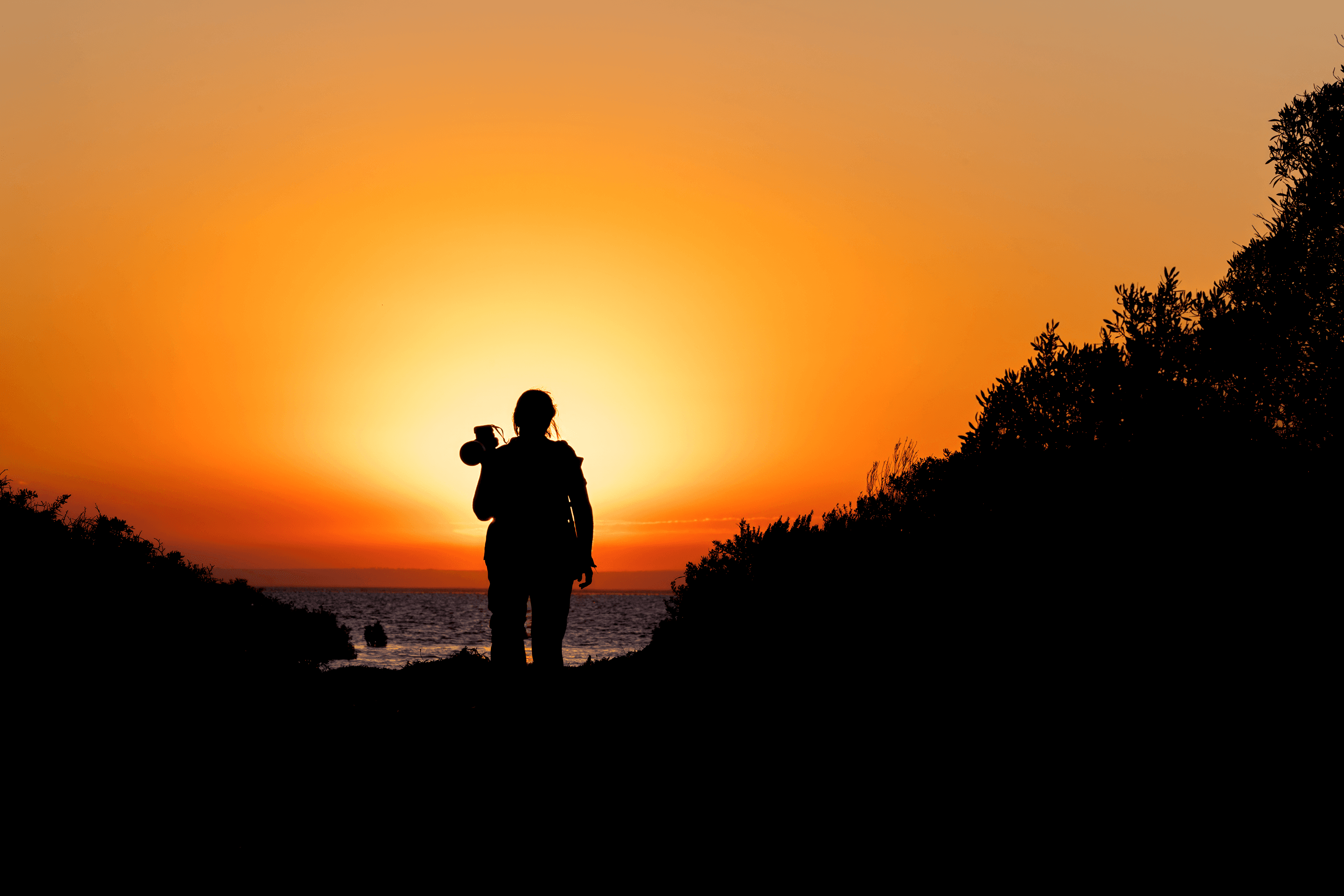 Sandy Horne — Australian nature photographer
